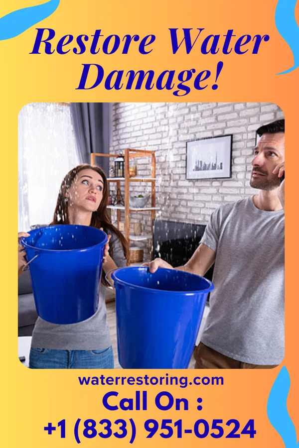 water restoration Western Mitigation Company Pickstown
